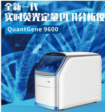 弹珠台游戏