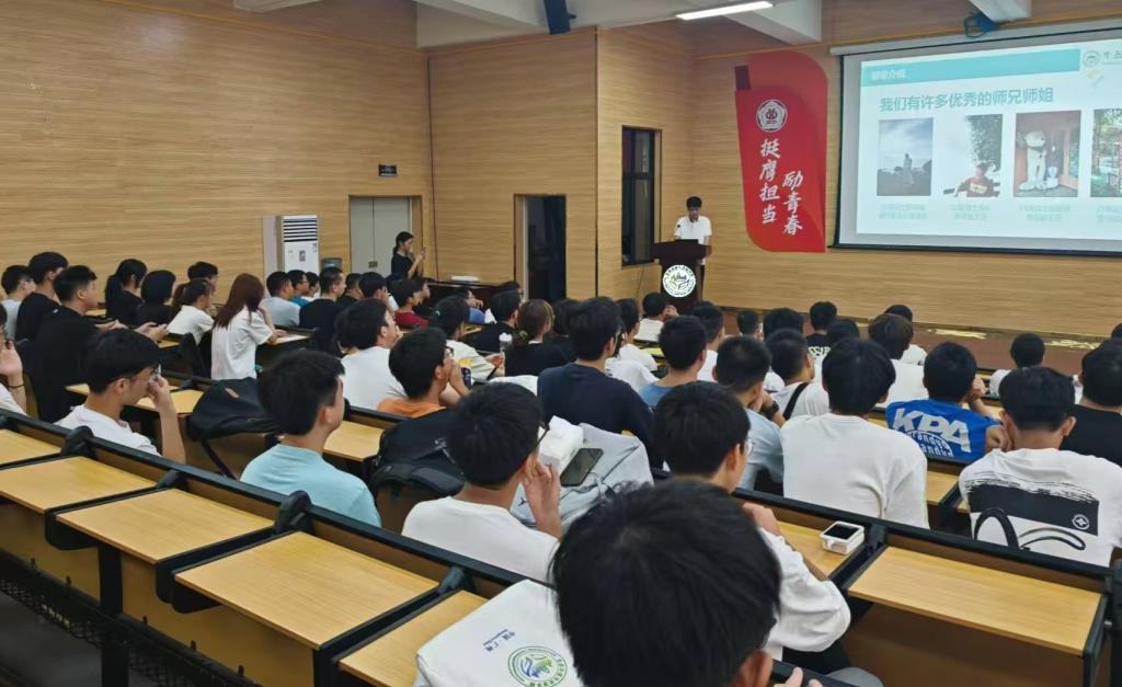 弹珠台游戏