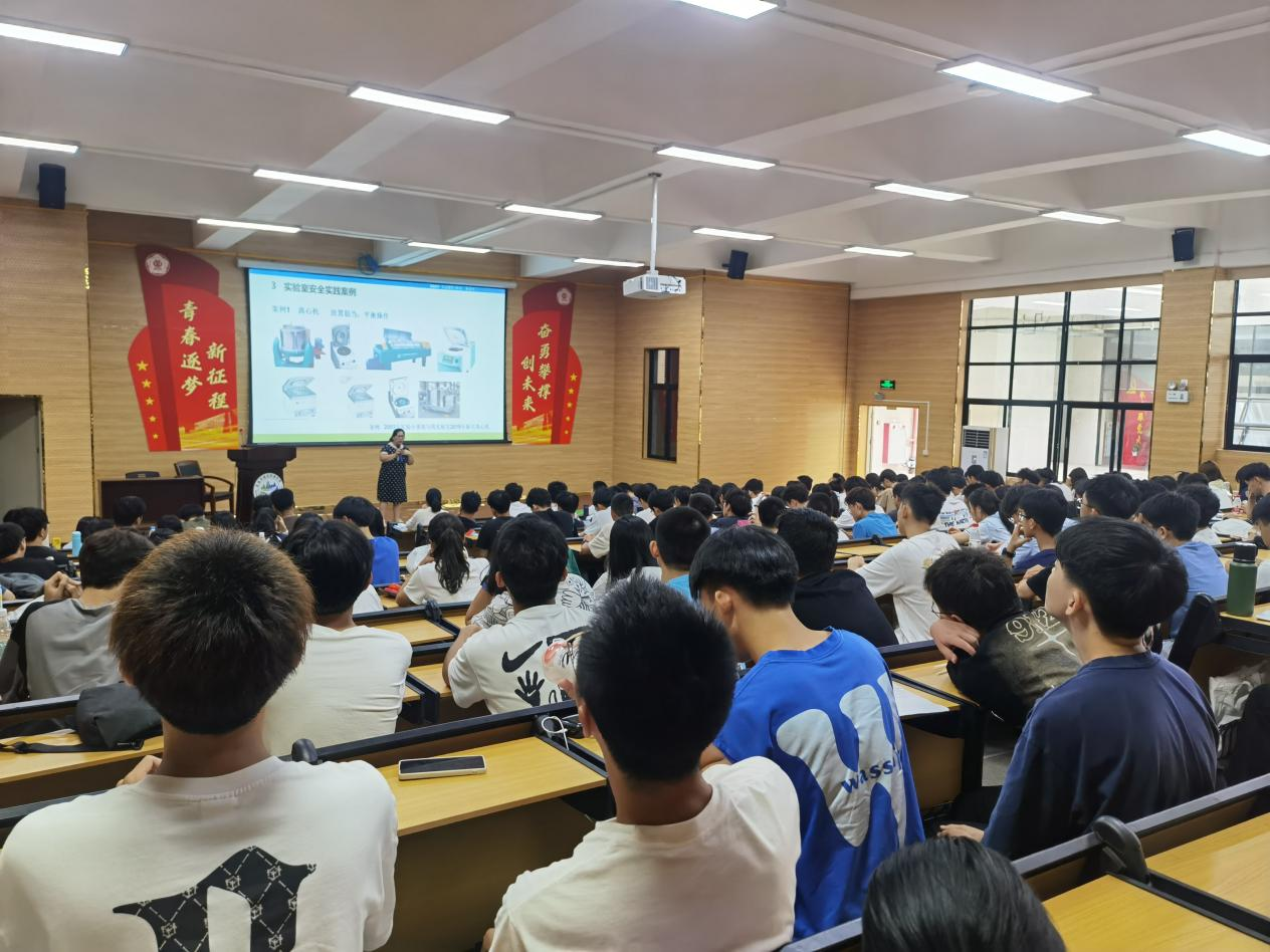 弹珠台游戏