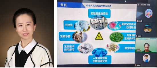 弹珠台游戏