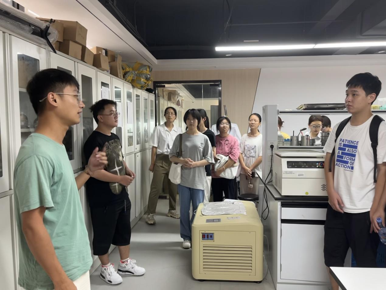 弹珠台游戏