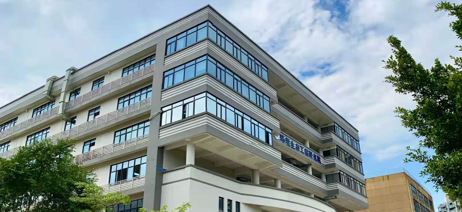 弹珠台游戏